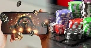 Grapepg.com Plataforma